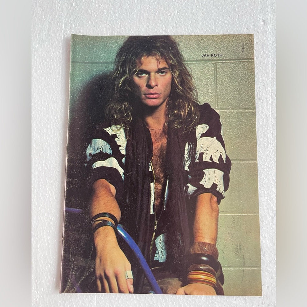Vintage David Lee Roth pinup